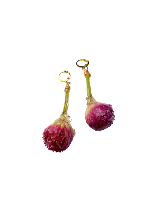 GLOBE AMARANTH LOLLIPOP