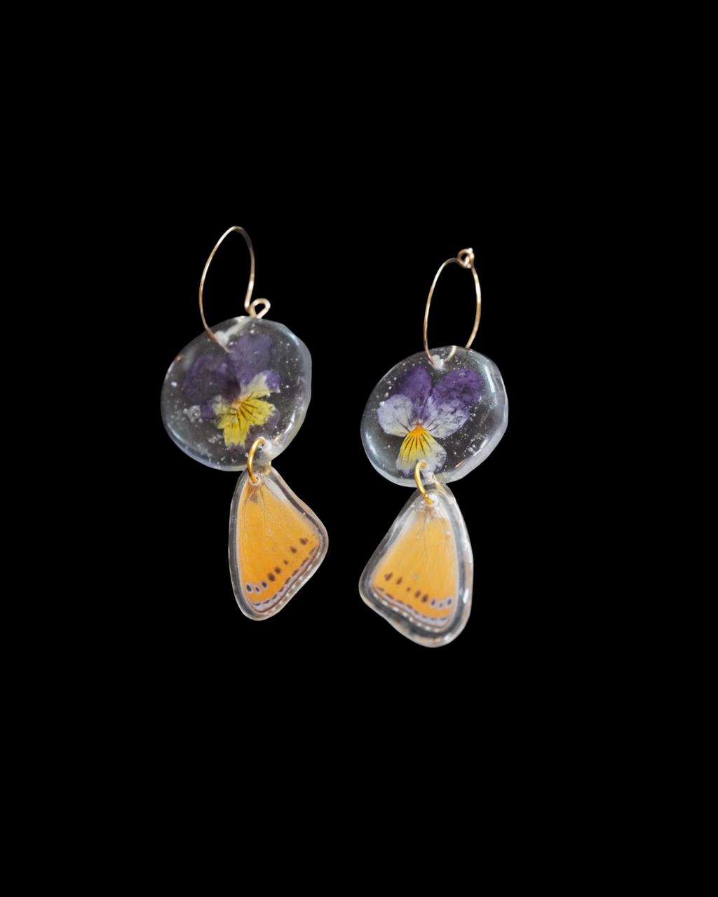 Pansy wings.