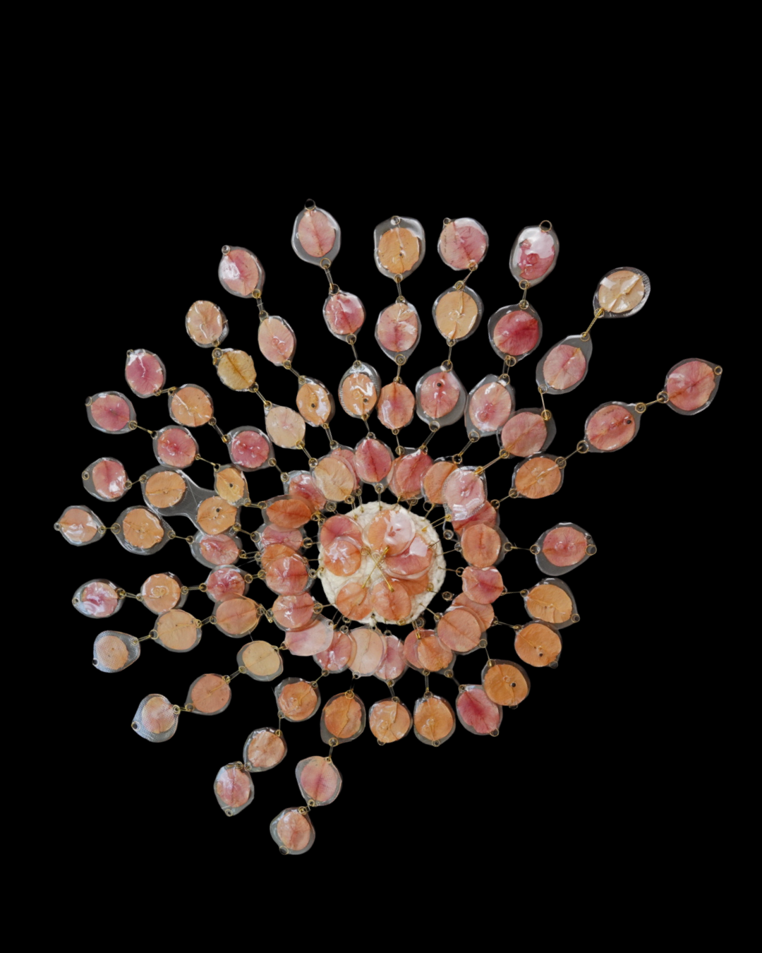 Petal Crown Headpiece