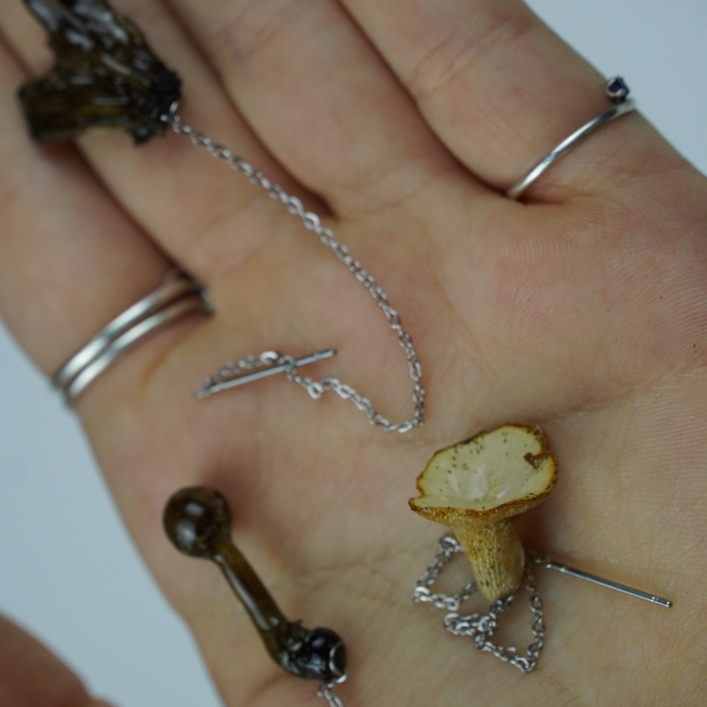 Mushroom $pecies