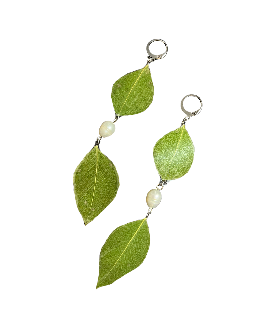 Ana's Eucalyptus Set