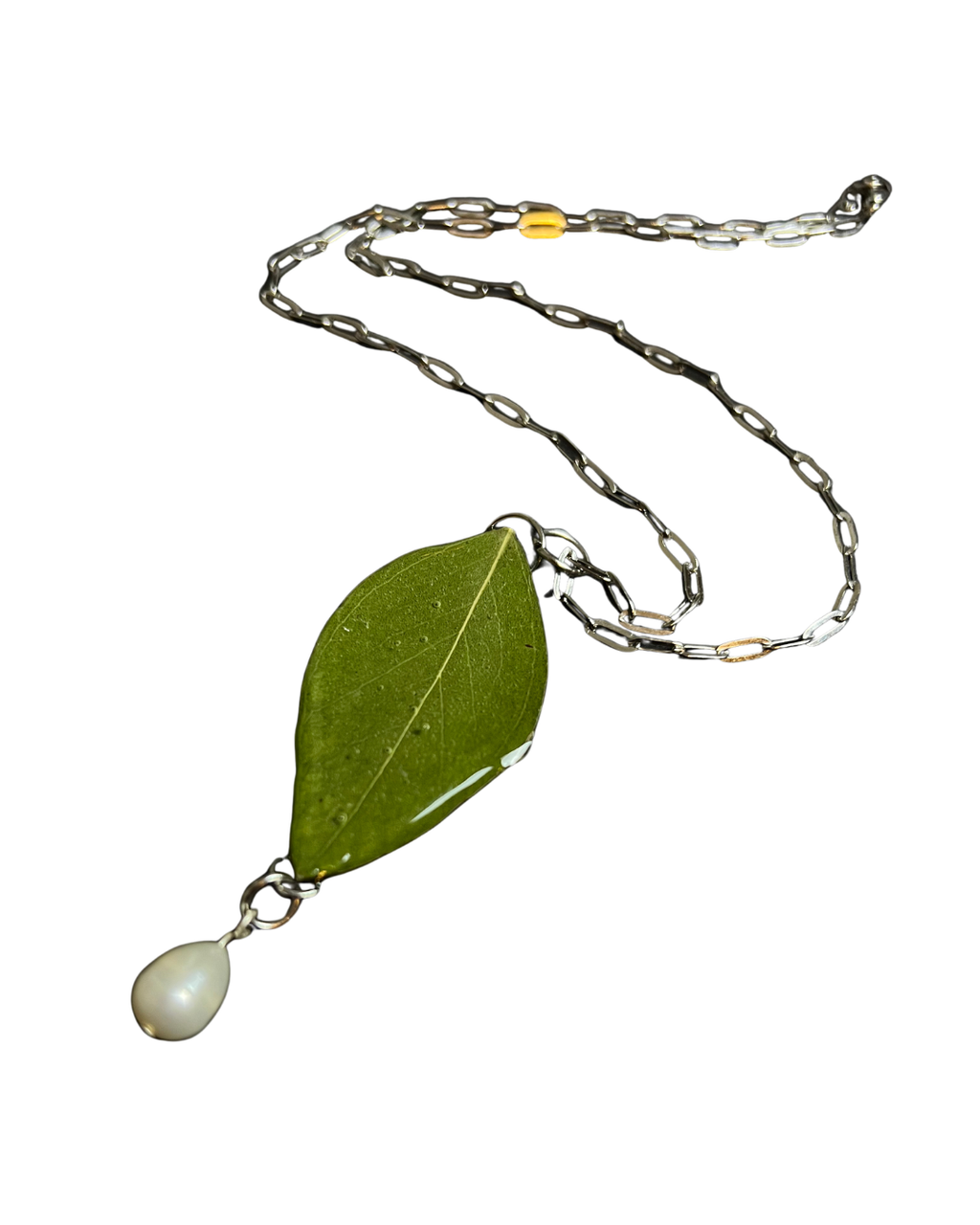 Ana's Eucalyptus Set