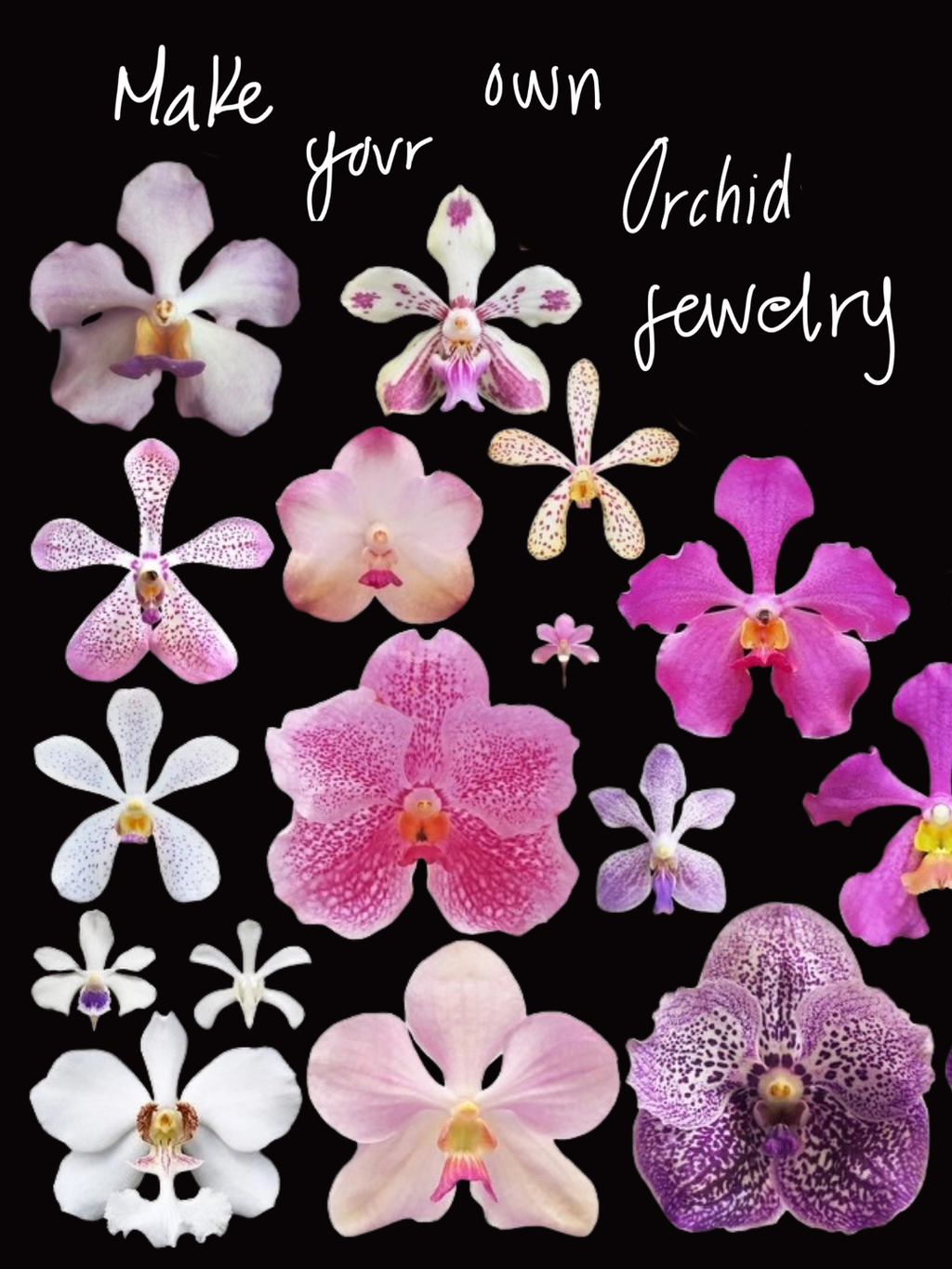 Orchids for October