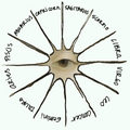 Astrology ꩜ Reading
