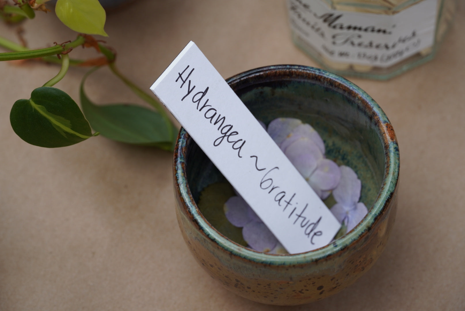 Host a Flores de Miel Experience ♡